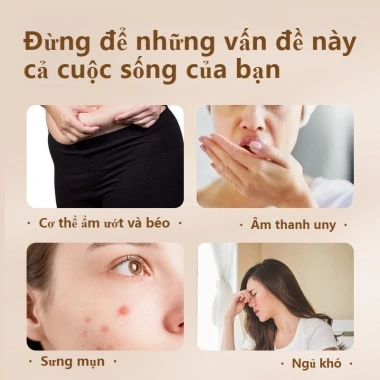 Miếng Dán Giảm Béo Ngải Cứu - Đốt Cháy Mỡ Bụng An Toàn, Dịu Nhẹ, Giá 73.445₫ 4