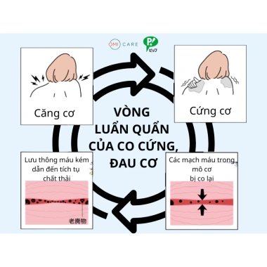 Miếng Dán Giảm Đau PIP ELEKIBAN MAX 200MT Nhật Bản Thoái Hóa Vai Gáy, Lưng, Chân