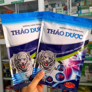 Miếng dán giảm đau thảo dược 10 miếng 11x15cm - Giảm đau nhanh, chỉ 75.000đ
