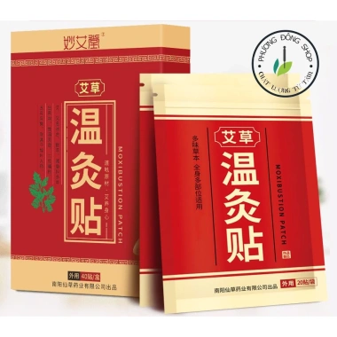 Miếng Dán Giảm Đau Xương Khớp Đông Y 40 miếng Nhức Vai Gáy Cột Sống Lưng 26.000đ