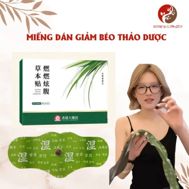 Miếng Dán Giữ Ấm Bụng Thảo Dược Triệu Lộ Tư 5 Miếng - Dán Êm Ái Giảm Đau Lạnh Bụng, Giá 32.000 VND