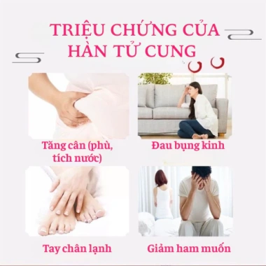 Miếng dán giữ nhiệt làm ấm cơ thể mùa đông, giảm đau bụng kinh thảo dược thiên nhiên - Giá 175.000đ