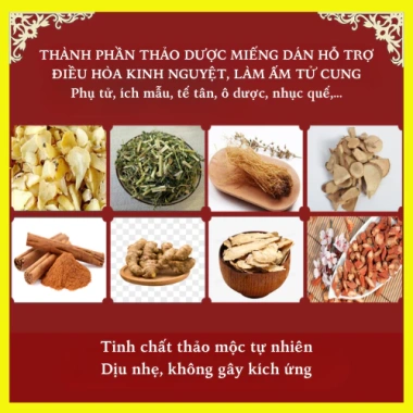 Miếng dán giữ nhiệt làm ấm cơ thể mùa đông, giảm đau bụng kinh thảo dược thiên nhiên - Giá 175.000đ 3 Miếng dán giữ nhiệt làm ấm cơ thể mùa đông, giảm đau bụng kinh thảo dược thiên nhiên - Giá 175.000đ 3