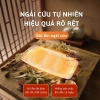 Miếng Dán Giữ Nhiệt Ngải Cứu - Giảm Đau Bụng Kinh, Sưởi Ấm Bụng, Chỉ 25.000 VNĐ 5