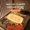 Miếng Dán Giữ Nhiệt Ngải Cứu WECAN Bản To - Đau Bụng, Sưởi Ấm Lưng, Chỉ 25.000₫ 5