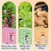 Miếng dán giữ nhiệt thảo dược Ngải cứu Gừng Ích mẫu - Giữ ấm bụng, giảm đau, chống lạnh mùa đông 65k 3