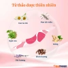 Miếng Dán Giữ Nhiệt Xông Hơi Teemoon 5 miếng - Ngải Cứu, Gừng, Quế, Ích Mẫu, 90k 2