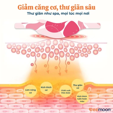 Miếng Dán Giữ Nhiệt Xông Hơi Teemoon 5 miếng - Ngải Cứu, Gừng, Quế, Ích Mẫu, 90k 3