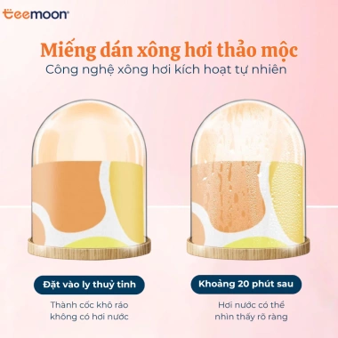 Miếng Dán Giữ Nhiệt Xông Hơi Teemoon 5 miếng - Ngải Cứu, Gừng, Quế, Ích Mẫu, 90k 5
