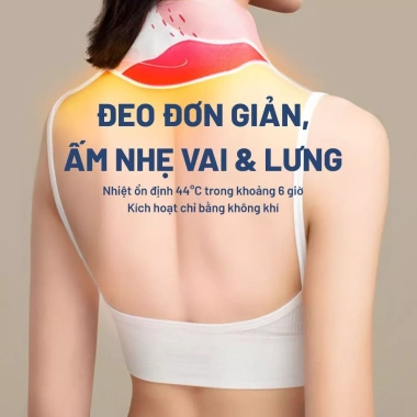 Miếng Dán Giữ Nhiệt Xông Hơi Teemoon 5 miếng - Ngải Cứu, Gừng, Quế, Ích Mẫu, 90k 8
