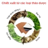 Miếng Dán Gừng Nóng Giảm Đau Vai Gáy, Lưng, Khớp Thảo Dược Giữ Ấm, Giảm Tê Mỏi, Giá 25.000đ 4