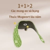 Miếng dán Mugwort giảm béo #CB04 - Thảo dược đốt cháy chất béo, nút bụng 79.000₫ 7