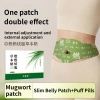 Miếng dán Mugwort thảo dược đốt cháy mỡ, giảm béo, nút bụng - Giá chỉ 60.390 VND