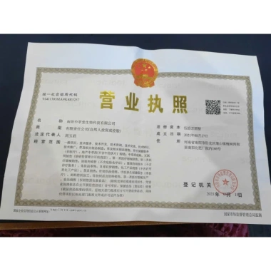 Miếng dán ngải cứu cao cấp 1 hộp 20 miếng - Giảm đau cột sống, thần kinh tọa, chỉ 33.000₫ 7