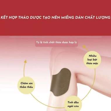 Miếng dán ngải cứu đầu gối giảm đau xương khớp Bắc Kinh Đồng Nhân Đường - Hộp xanh 12 miếng, giá 80.000đ 6