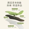 Miếng dán ngải cứu siết eo đốt cháy mỡ bụng, giữ ấm, hiệu quả, hộp 5 miếng lớn - Giá ưu đãi 98.100đ 5