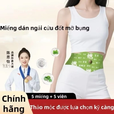 Miếng dán ngải cứu siết eo đốt cháy mỡ bụng, giữ ấm, hiệu quả, hộp 5 miếng lớn - Giá ưu đãi 98.100đ