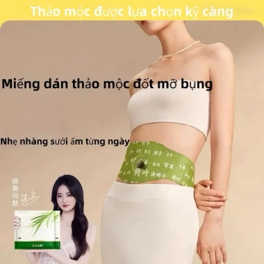 Miếng dán ngải cứu siết eo đốt cháy mỡ bụng, giữ ấm, hiệu quả, hộp 5 miếng lớn - Giá ưu đãi 98.100đ