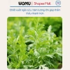 Miếng Dán Ngải Cứu WoMu WM-1.480 Giảm Đau Khớp Gối, Cổ, Bụng, Bàn Chân - 43k VND 6