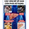 Miếng Dán Thải Độc Gan Thanh Lọc Cơ Thể - Giảm Độc Tố, Hỗ Trợ Gan, Giá 59.000đ 4