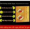 Miếng Dán Thải Độc Gan Thảo Mộc Thanh Lọc Cơ Thể, Thư Giãn, Ngủ Ngon 5 miếng 76.000đ 3
