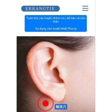 Miếng Dán Thảo Dược Đông Y 10 Miếng - Giảm Ù Tai, Đau Tai, Nghe Kém, Kích Thích Huyệt Tai - Giá 39.000 VND 3