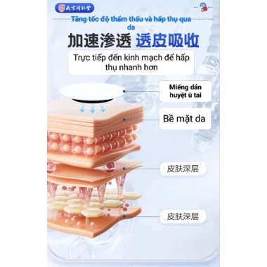 Miếng Dán Thảo Dược Đông Y 10 Miếng Giảm Ư Tai, Nghe Kém, Đau Tai - Hỗ Trợ Tai