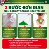 Miếng Dán Thảo Mộc EGUOO giảm đau cổ vai gáy, hỗ trợ giảm căng cơ - 10 miếng 5