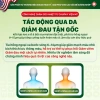 Miếng Dán Thảo Mộc EGUOO giảm đau cổ vai gáy, hỗ trợ giảm căng cơ - 10 miếng 6