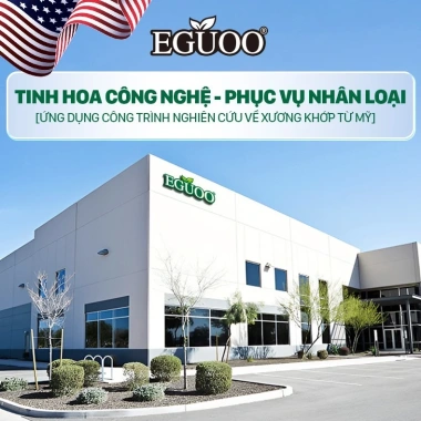 Miếng Dán Thảo Mộc EGUOO giảm đau cổ vai gáy, hỗ trợ giảm căng cơ - 10 miếng 7