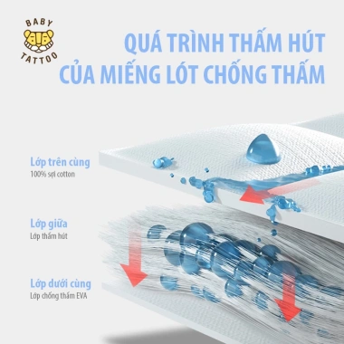 Miếng Lót Chống Thấm BABY TATTOO 3 Lớp Thoáng Khí Giá 249.000 VND Giảm Giá 3