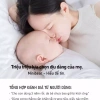Mini Bear Khăn Giấy Rút Cao Cấp 30 Gói 4 Lớp - Lau Mặt Lớn, Đa Năng, An Toàn Cho Bé, 88.000₫ 8