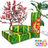 Mô Hình Bánh Chưng, Bánh Tét, Giò Lụa Lõi Xốp Trang Trí Tết 2.024 - Decor Nhà Cửa, Giá Ưu Đãi 48.000₫ 3