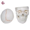 Mô hình đầu lâu tháo rời + mũ - Đồ dùng giáo viên mầm non, giá ưu đãi 653.400₫ 2