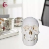 Mô hình đầu lâu tháo rời + mũ - Đồ dùng giáo viên mầm non, giá ưu đãi 653.400₫ 3