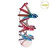 Mô Hình DNA Xoắn Đôi Gen Con Người Pufangnice - Đồ Chơi Khoa Học Giá 100.100₫ 3