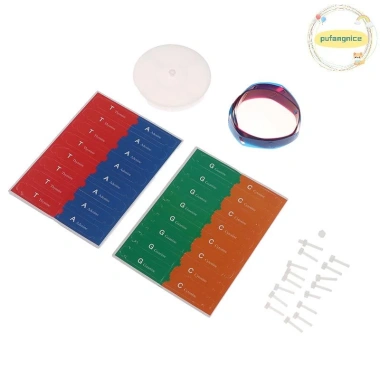 Mô Hình DNA Xoắn Đôi Gen Con Người Pufangnice - Đồ Chơi Khoa Học Giá 100.100₫ 5 Mô Hình DNA Xoắn Đôi Gen Con Người Pufangnice - Đồ Chơi Khoa Học Giá 100.100₫ 5