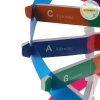 Mô Hình DNA Xoắn Đôi Gen Con Người Pufangnice - Đồ Chơi Khoa Học Giá 100.100₫ 6