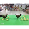 Mô Hình Gà Bố Mẹ 10 Con Xốp Giá Ưu Đãi 35.000 VND - Đồ Chơi Giáo Dục Bé Mầm Non 5