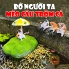 Mô hình mèo câu cá trên đảo, trang trí bể cá cảnh, thùng xốp, bàn làm việc, 29.500₫