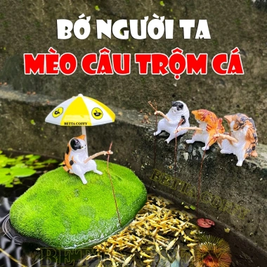 Mô hình mèo câu cá trên đảo, trang trí bể cá cảnh, thùng xốp, bàn làm việc, 29.500₫ 2