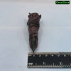 Mô hình Sukuna Ngón Tay 10cm Jujutsu Kaisen Anime Manga - Giá ưu đãi 30.000 VND 5
