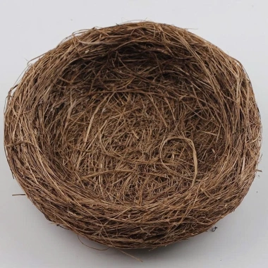 Mô Hình Tổ Chim Mini Trứng Chim Trang Trí Sen Đá Vòng Hoa Giáng Sinh Giá 5.000 VND 5 Mô Hình Tổ Chim Mini Trứng Chim Trang Trí Sen Đá Vòng Hoa Giáng Sinh Giá 5.000 VND 5