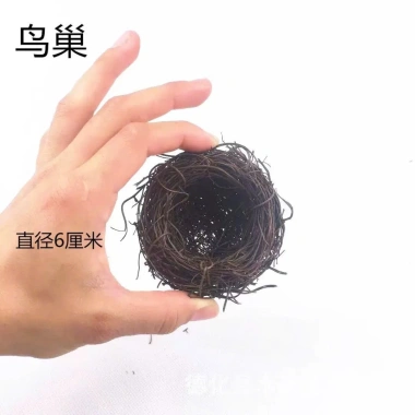 Mô Hình Tổ Chim Mini Trứng Chim Trang Trí Sen Đá Vòng Hoa Giáng Sinh Giá 5.000 VND