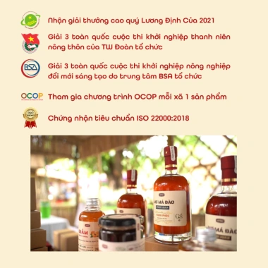 Mơ Má Đào vị Dịu Êm Cô Tâm 375ml/500ml - Thủ công Bách Cốc, giá ưu đãi 140.000₫ 7