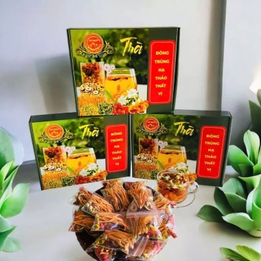 Mộc Hương Tây Bắc Trà Đông Trùng Hạ Thảo Thất Vị - Tăng sức khoẻ, ngủ ngon, giảm căng thẳng, chỉ 234k