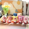 Móc khoá gấu bông hải ly Loopy, Mũ Gấu Dâu Lotso, thỏ, chó xinh xắn - giá ưu đãi 35k 6