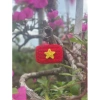 Móc khoá lá cờ tổ quốc bằng len handmade - Giá chỉ 25.000, ưu đãi giảm giá 3
