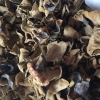 Mộc nhĩ 100g giá chỉ 20.000đ - Đặc sản khô ngon, giảm giá hấp dẫn, giao nhanh
