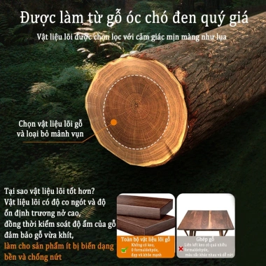 Móc quả óc chó gắn tường không đục lỗ - Chịu lực mạnh, giá 149.000 VND 5